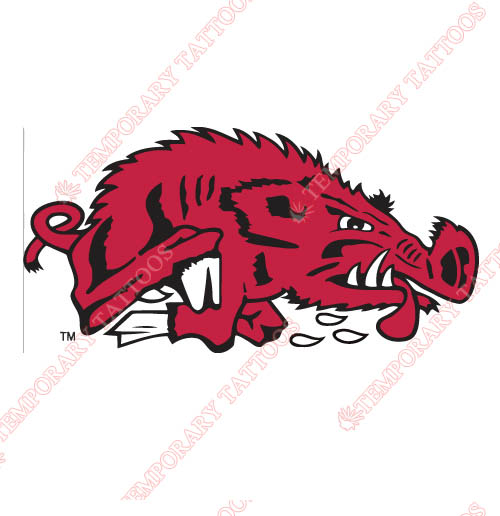 Arkansas Razorbacks 1976 1993 Alternate Customize Temporary Tattoos Stickers NO.3734